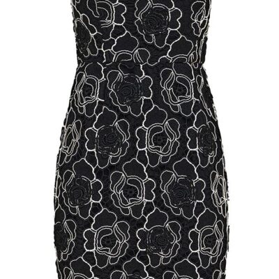 MOS The Label Dahlia Lace Mini Dress